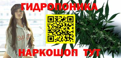 индика Кулебаки
