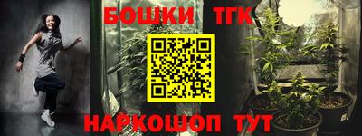 индика Кулебаки