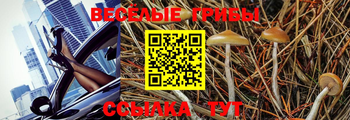 Галлюциногенные грибы мухоморы Костомукша